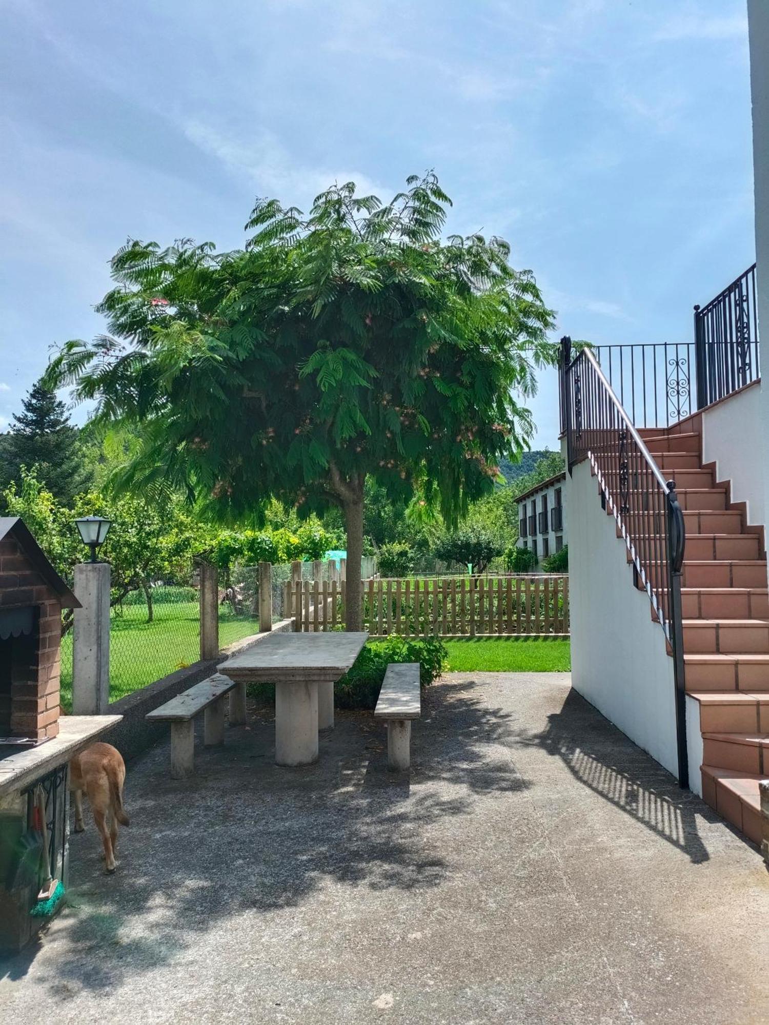 Apartamento Rural Casa Paco con chimenea y Jacuzzi exterior Aínsa Exterior foto